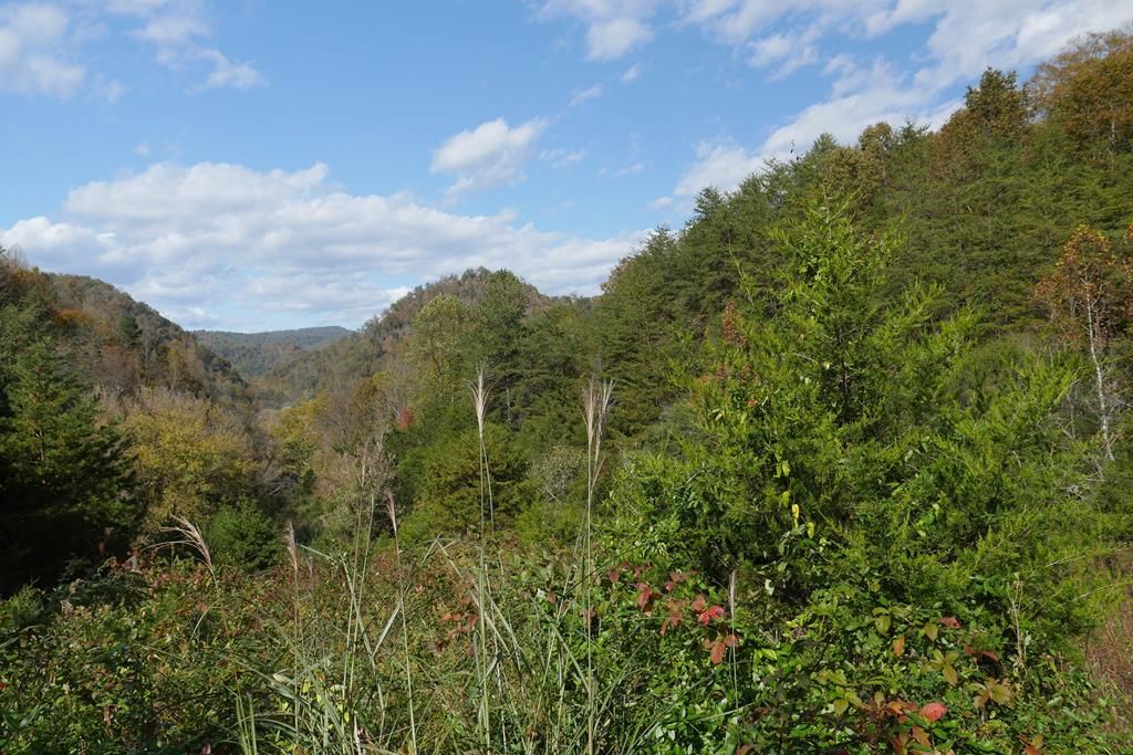 Photo of TBD Fairview Road #1, Blackwater, VA 24221 (MLS # 104607)