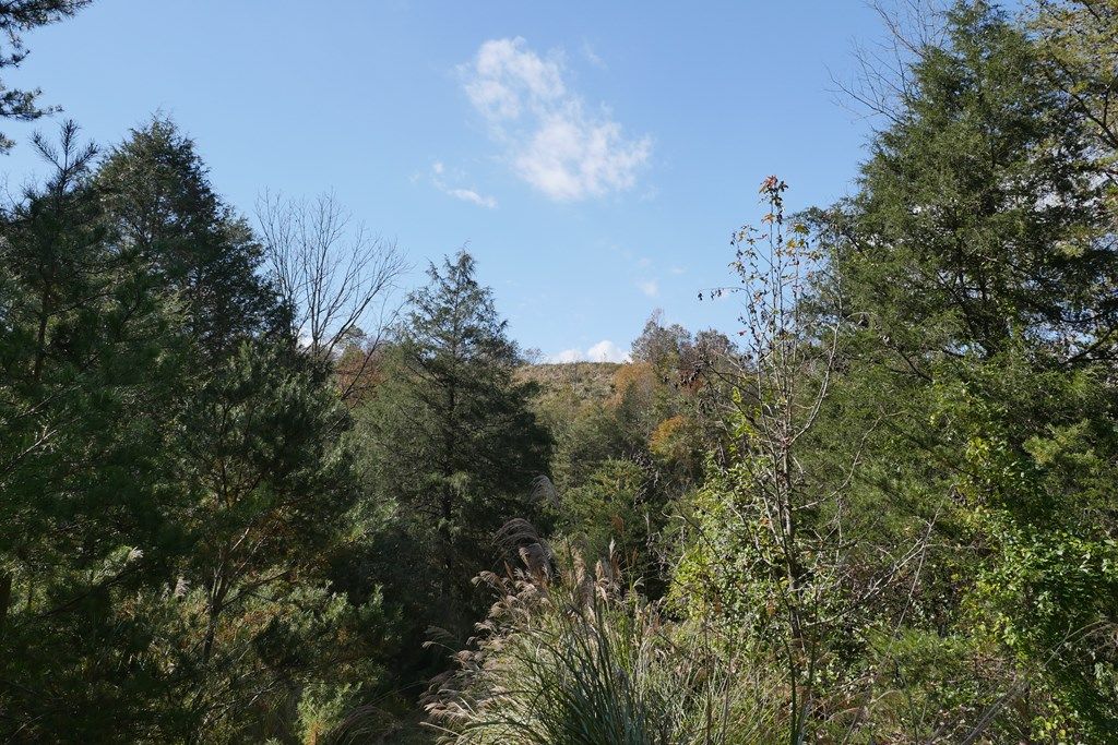 Photo of TBD Fairview Road #1, Blackwater, VA 24221 (MLS # 104607)