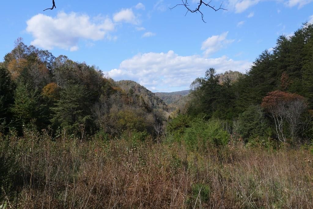 Photo of TBD Fairview Road #1, Blackwater, VA 24221 (MLS # 104607)