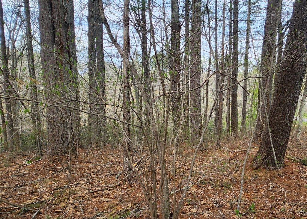 Photo of 28 Manor House Dr #28, Laurel Fork, VA 24352 (MLS # 109838)