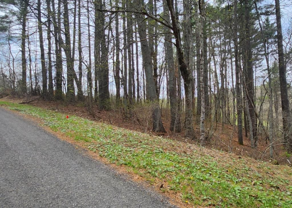 Photo of 28 Manor House Dr #28, Laurel Fork, VA 24352 (MLS # 109838)