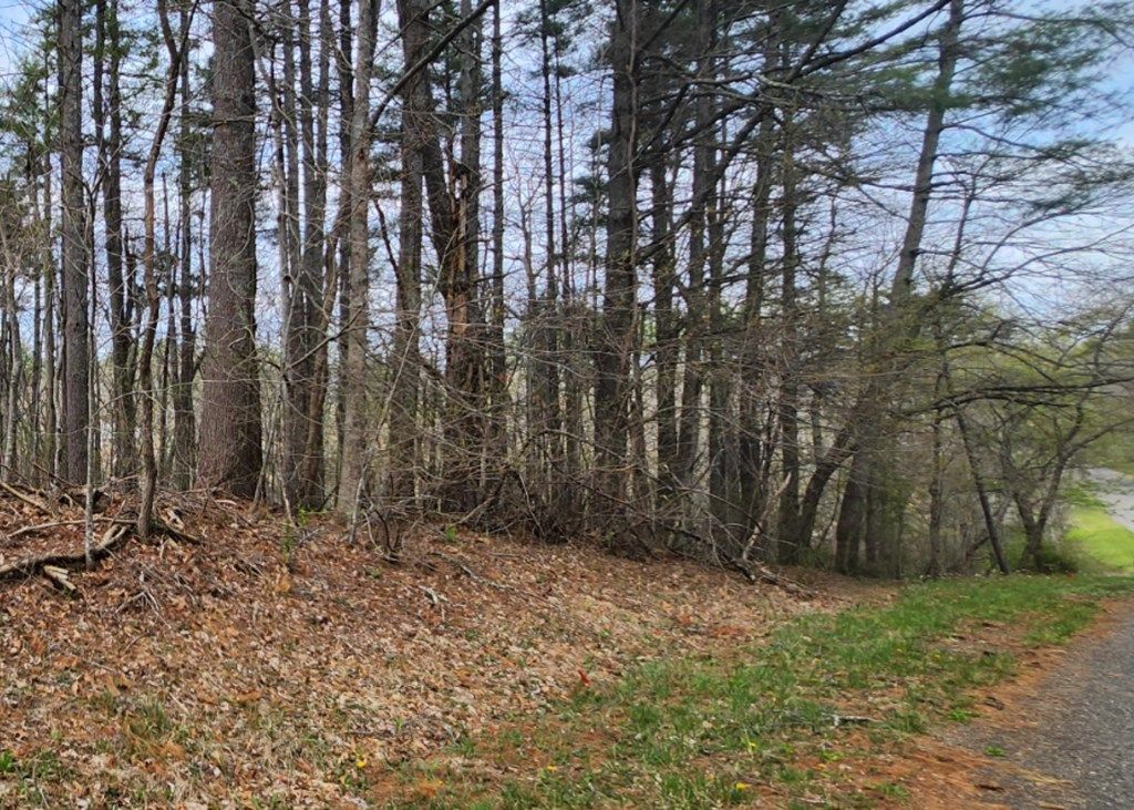 Photo of 28 Manor House Dr #28, Laurel Fork, VA 24352 (MLS # 109838)