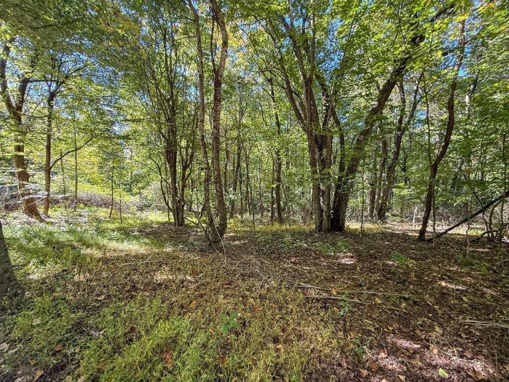 Photo of 16 Glen Burn Ln #16, Meadows of Dan, VA 24120 (MLS # 112210)