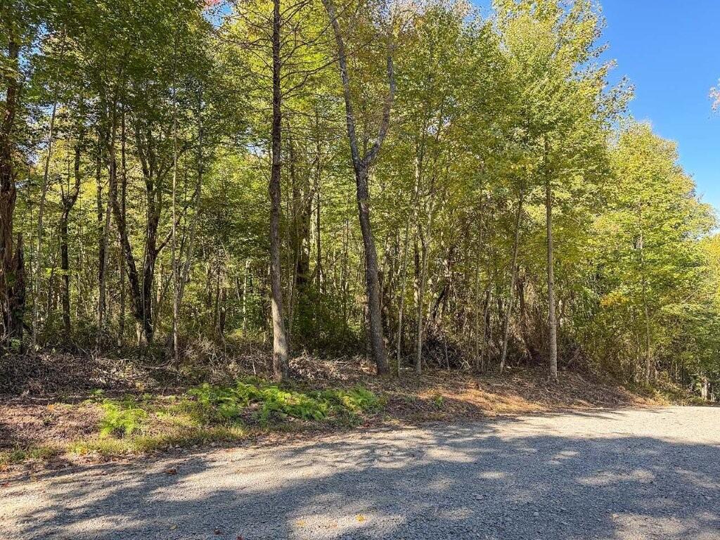 Photo of 16 Glen Burn Ln #16, Meadows of Dan, VA 24120 (MLS # 112210)