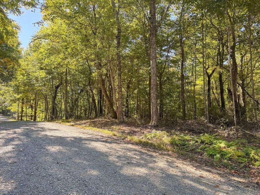 Photo of 16 Glen Burn Ln #16, Meadows of Dan, VA 24120 (MLS # 112210)