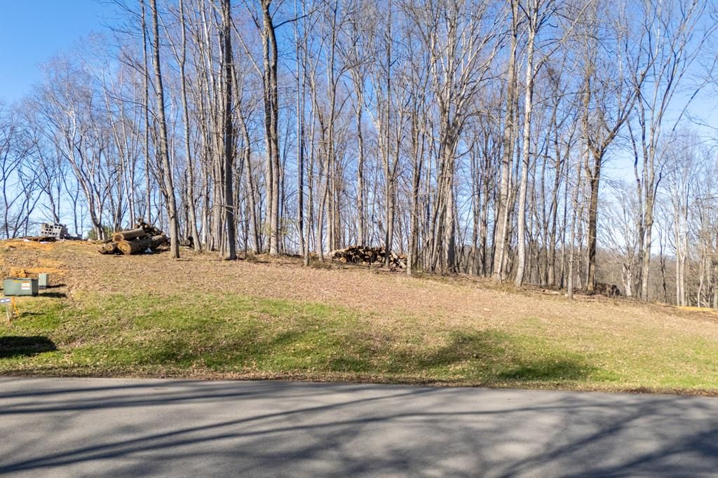 Photo of TBD Clifton Ridge Rd #111, Abingdon, VA 24210 (MLS # 109319)