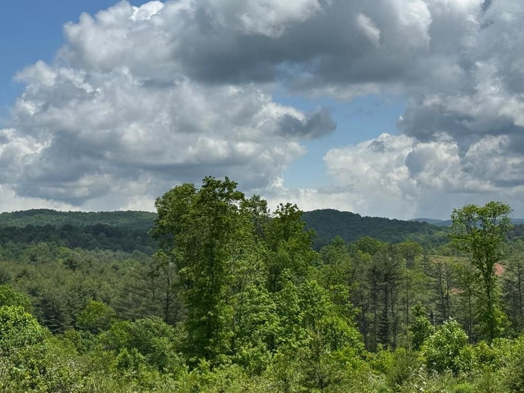 Photo of TBD Marian Rd #0, Dugspur, VA 24343 (MLS # 99877)