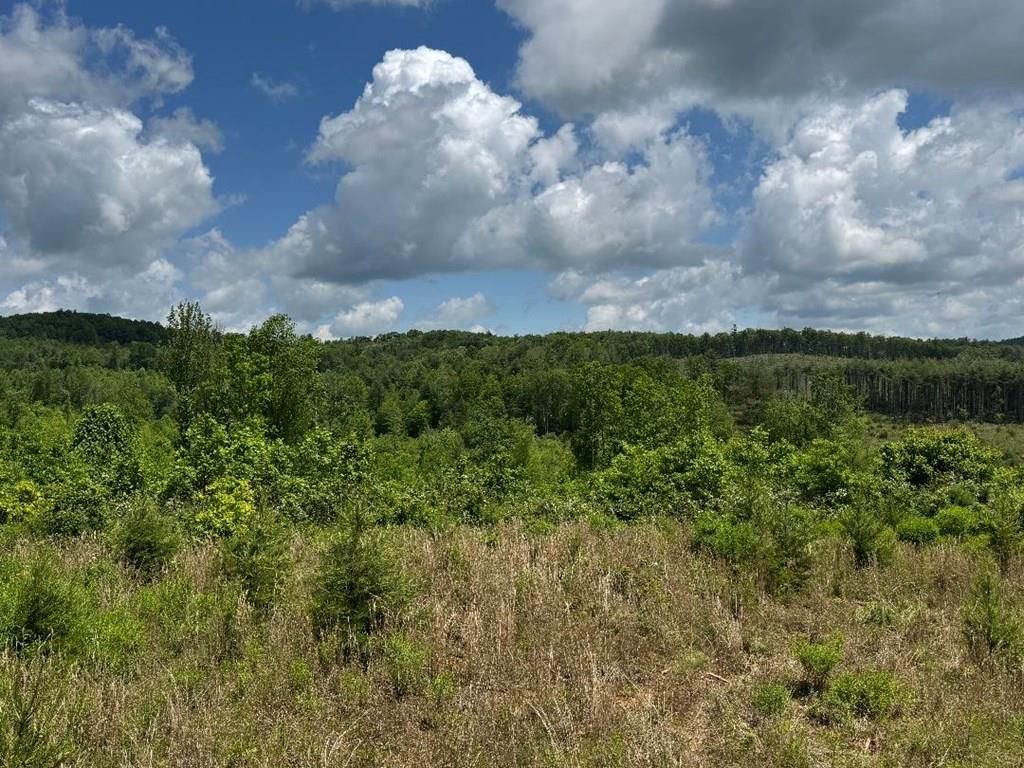 Photo of TBD Marian Rd #0, Dugspur, VA 24343 (MLS # 99877)