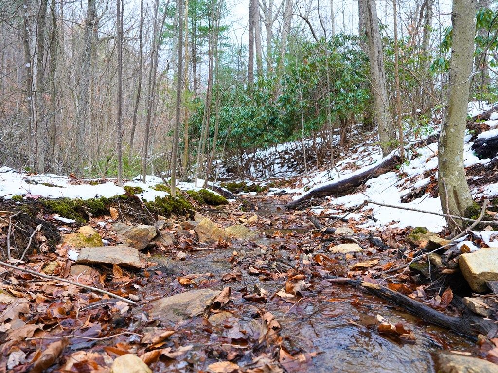 Photo of 00 Dugspur Rd #0, Callaway, VA 24067 (MLS # 104383)