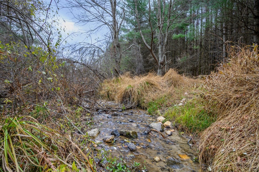 Photo of 3200 Stonewall Rd NE #0, Pilot, VA 24138 (MLS # 111433)