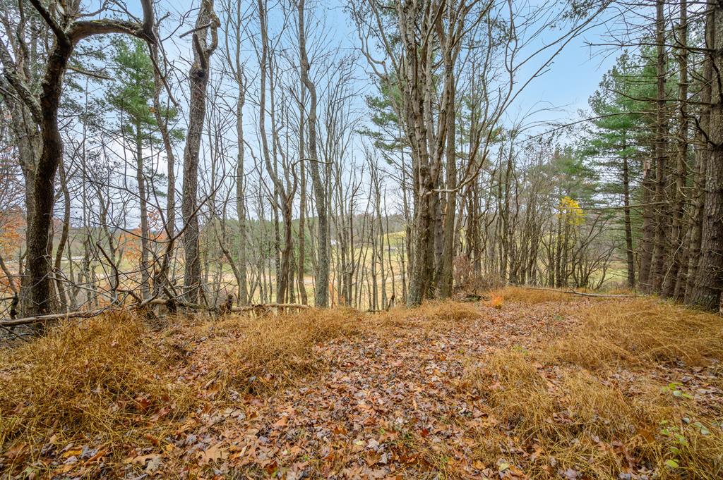 Photo of 3200 Stonewall Rd NE #0, Pilot, VA 24138 (MLS # 111433)