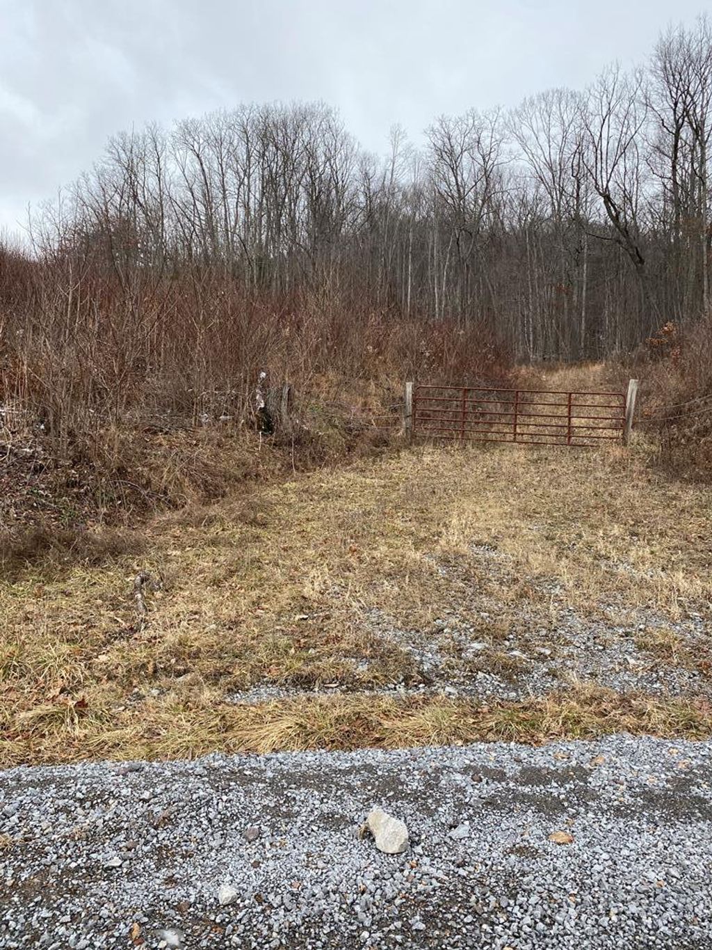 Photo of TBD Coopers Corner Lot 66 #66, Bastian, VA 24314 (MLS # 104436)