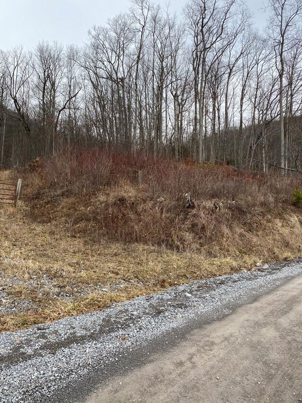 Photo of TBD Coopers Corner Lot 66 #66, Bastian, VA 24314 (MLS # 104436)