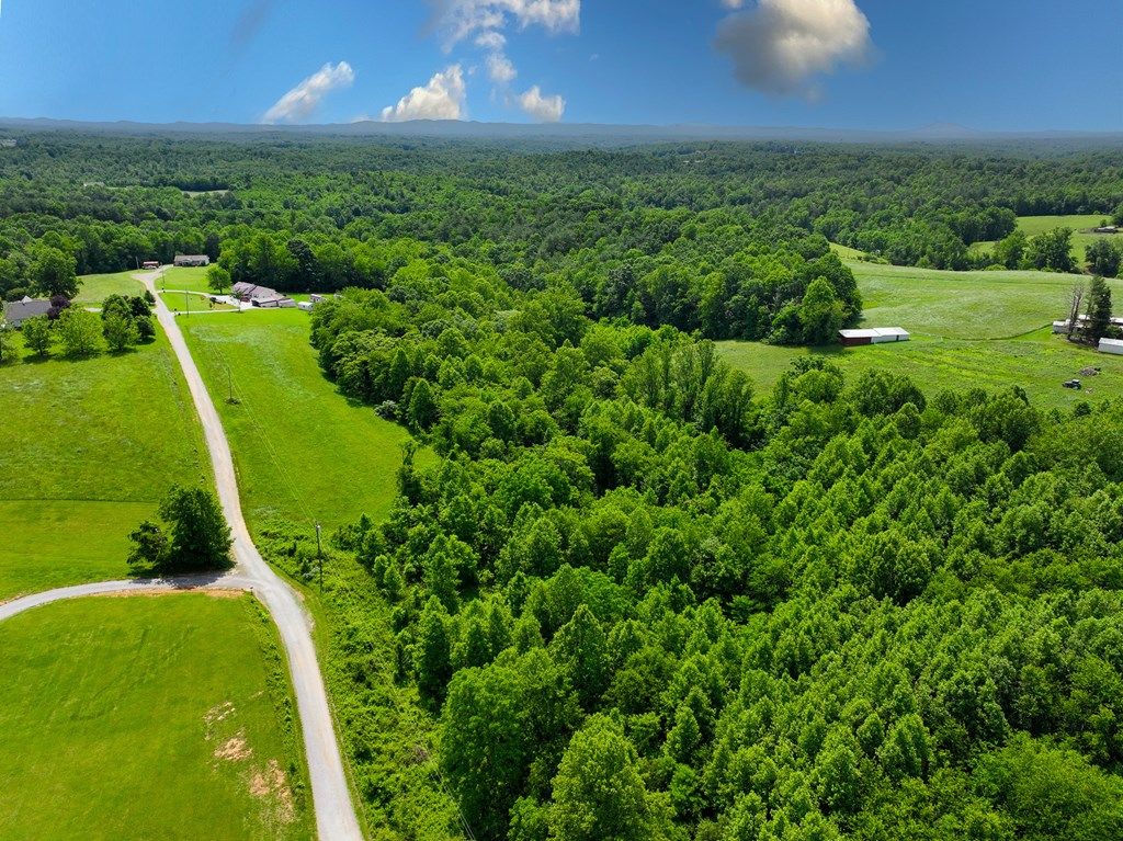 Photo of TBD English Forest #7, Cana, VA 24317 (MLS # 100089)