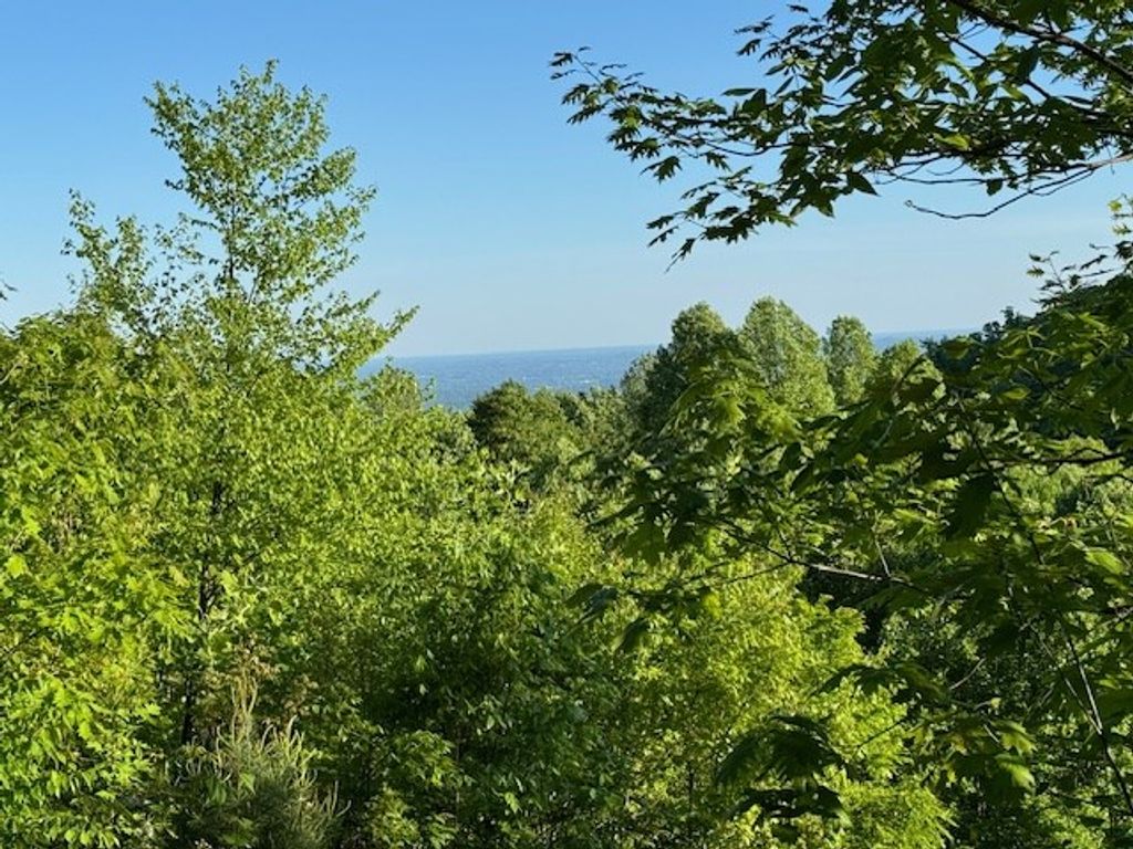 Photo of 100 Cabin Ridge Trail #5, Fancy Gap, VA 24328 (MLS # 93694)