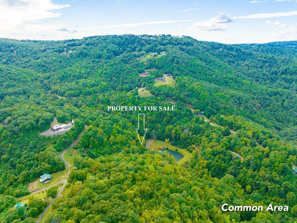 Photo of 3 Old Pond Trl #216, 217, 218, Fancy Gap, VA 24328 (MLS # 103841)