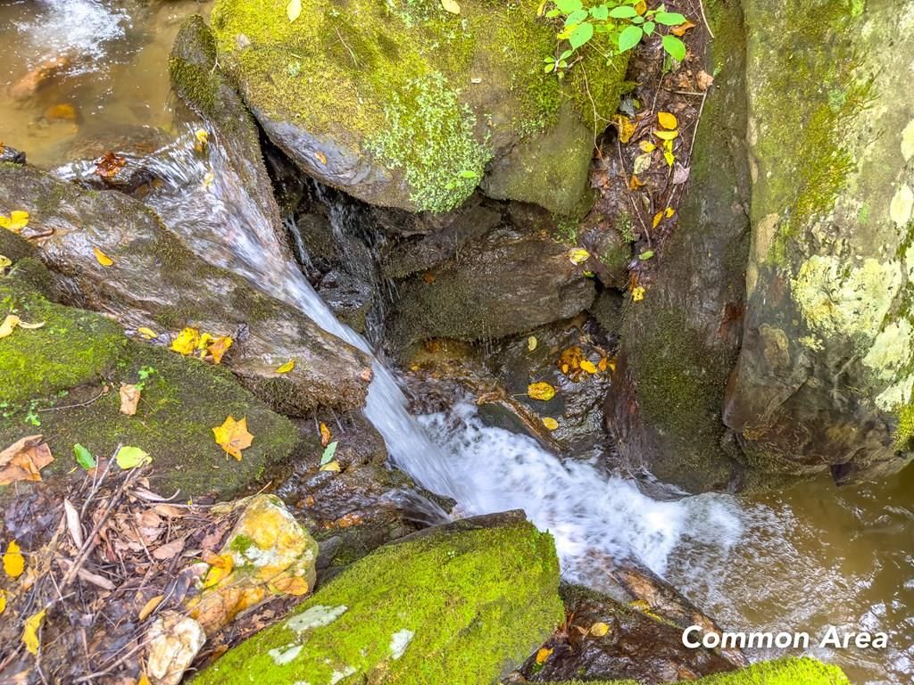 Photo of 3 Old Pond Trl #216, 217, 218, Fancy Gap, VA 24328 (MLS # 103841)
