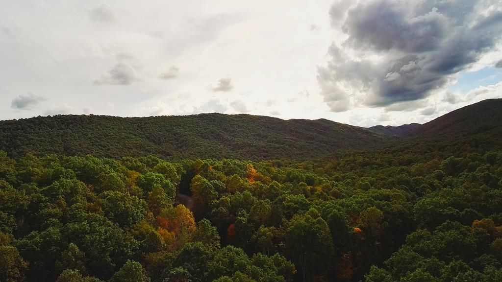 Photo of 88 Nye Valley Rd - Cove Creek #88, Bastian, VA 24314 (MLS # 103557)