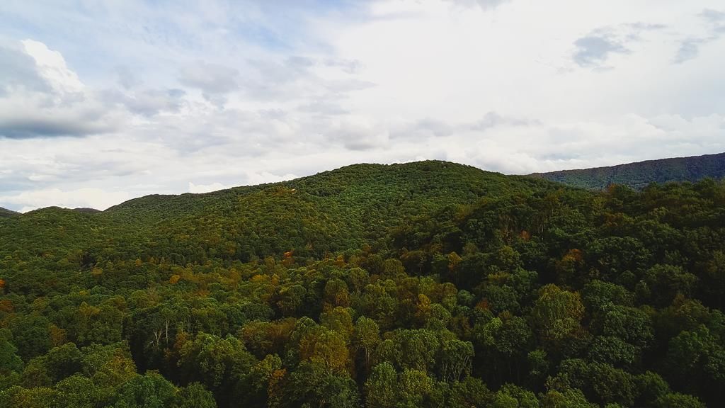 Photo of 88 Nye Valley Rd - Cove Creek #88, Bastian, VA 24314 (MLS # 103557)