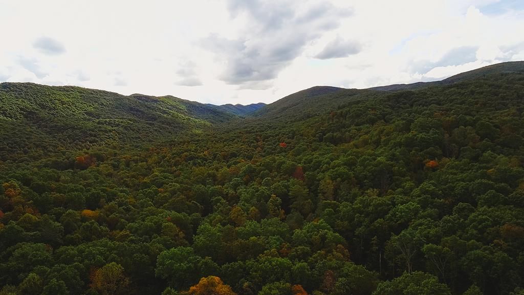 Photo of 88 Nye Valley Rd - Cove Creek #88, Bastian, VA 24314 (MLS # 103557)