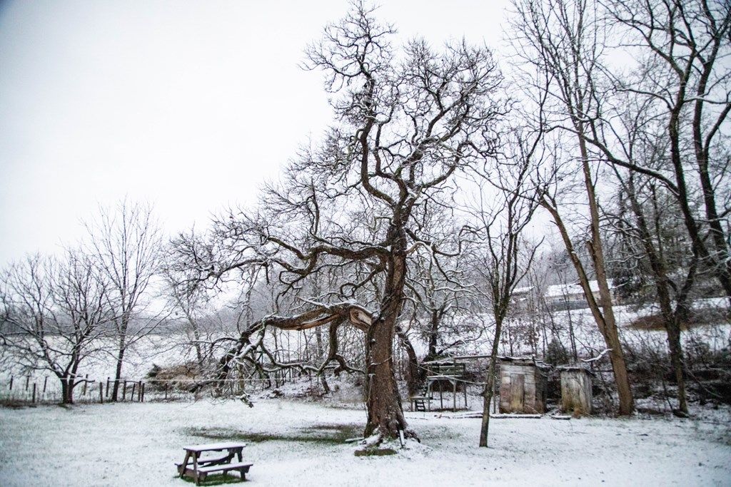 Photo of 20217 Shadowood Cir, Meadowview, VA 24361 (MLS # 104350)