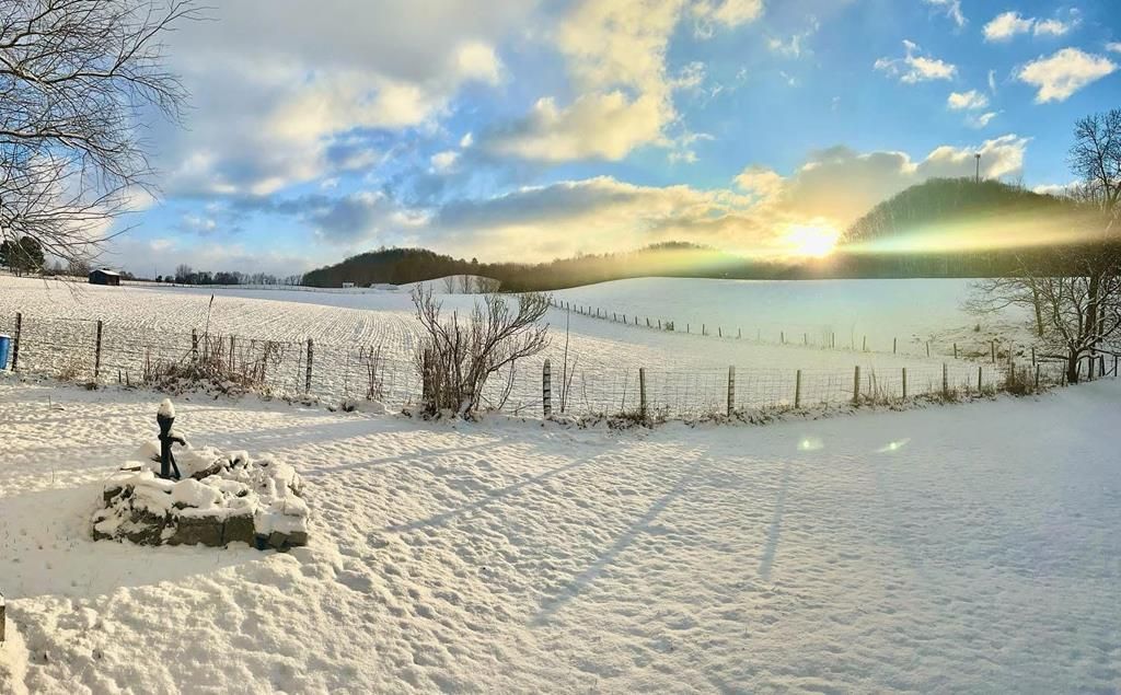 Photo of 20217 Shadowood Cir, Meadowview, VA 24361 (MLS # 104350)