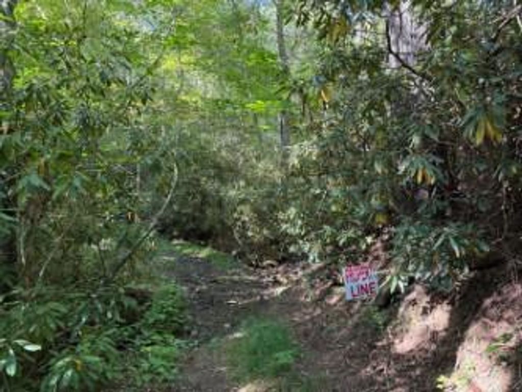 Photo of TBD Edwards Chapel Rd #N/A, Fries, VA 24330 (MLS # 103480)