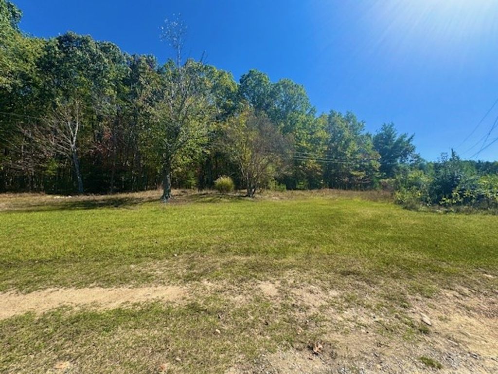 Photo of 378 Pump Hollow Road, Wytheville, VA 24382 (MLS # 103699)
