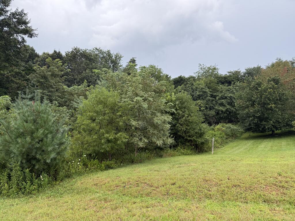 Photo of TBD Rock Bridge Pass Ln #622, Hillsville, VA 24343 (MLS # 111526)