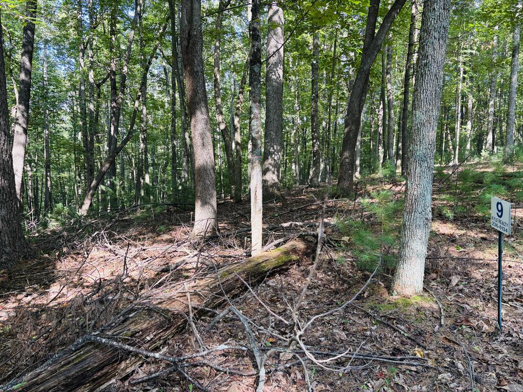 Photo of 9 Cove Lane #9, Woodlawn, VA 24381 (MLS # 111922)