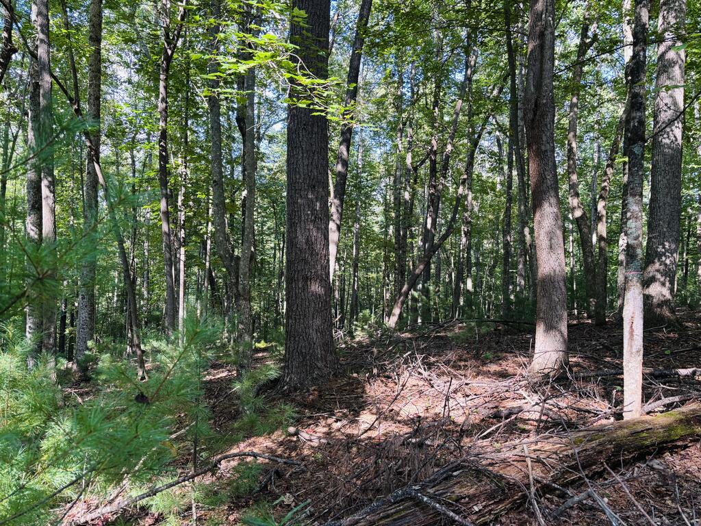 Photo of 9 Cove Lane #9, Woodlawn, VA 24381 (MLS # 111922)