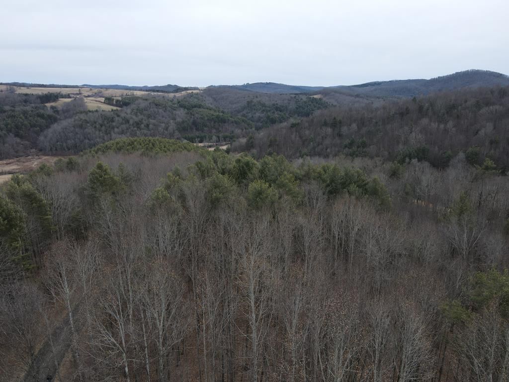 Photo of 14 Vista Ridge Dr #14, Woodlawn, VA 24381 (MLS # 105905)