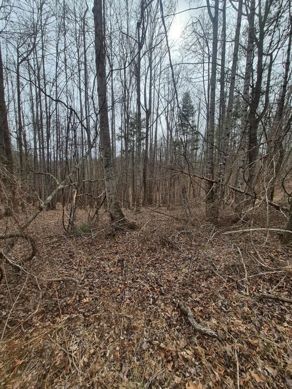 Photo of 14 Vista Ridge Dr #14, Woodlawn, VA 24381 (MLS # 105905)