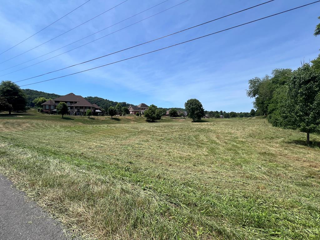 Photo of TBD Berry Creek Drive #13/14, Abingdon, VA 24211 (MLS # 110941)