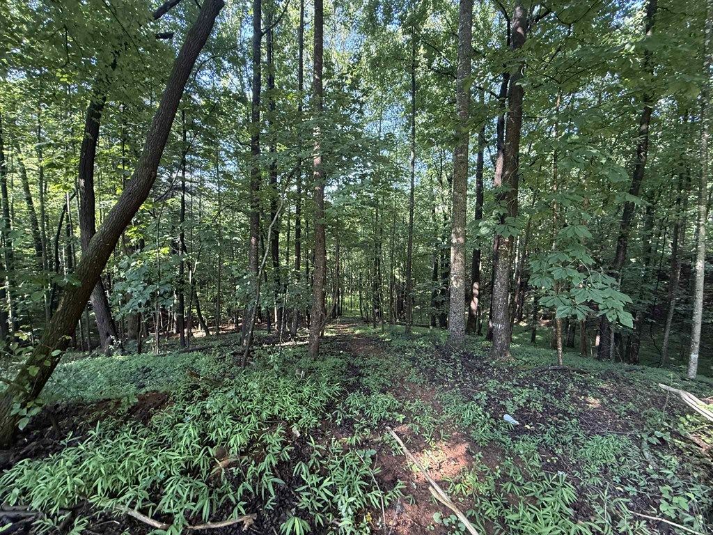 Photo of 4028 Pleasant View Drive, Patrick Springs, VA 24133 (MLS # 100657)