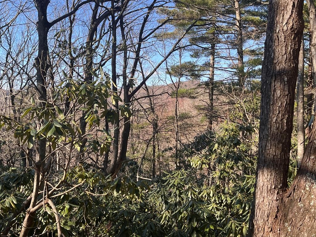 Photo of Tbd Rock Ledge Tr #C9, Fancy Gap, VA 24328 (MLS # 98723)