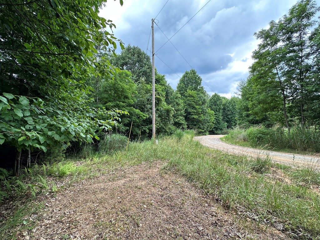 Photo of TBD 0 Live Oak Ln #0, Galax, VA 24333 (MLS # 94412)