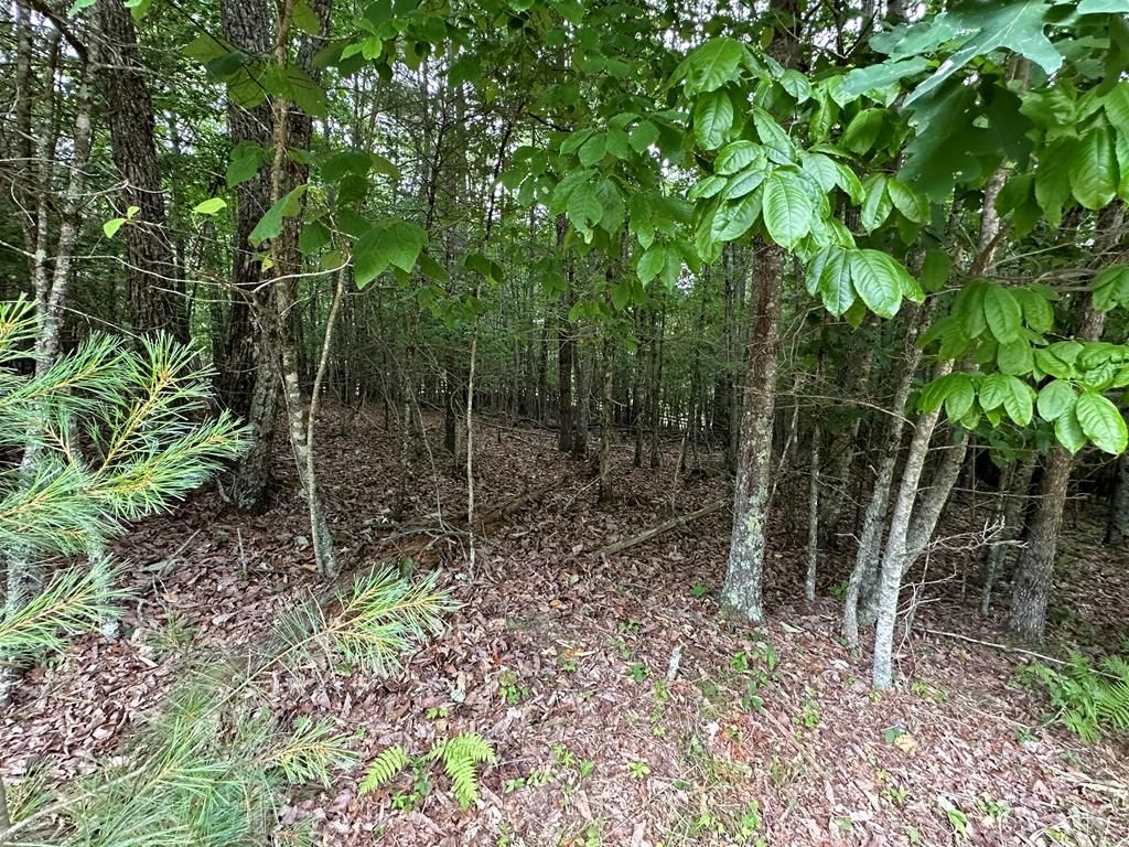 Photo of TBD 0 Live Oak Ln #0, Galax, VA 24333 (MLS # 94412)