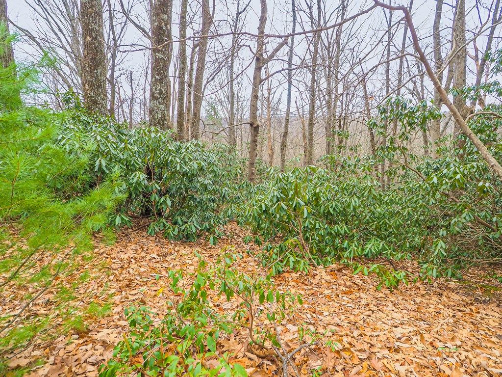 Photo of TBD Spring Lure Trl #F-13 2-B, Fancy Gap, VA 24328 (MLS # 104307)