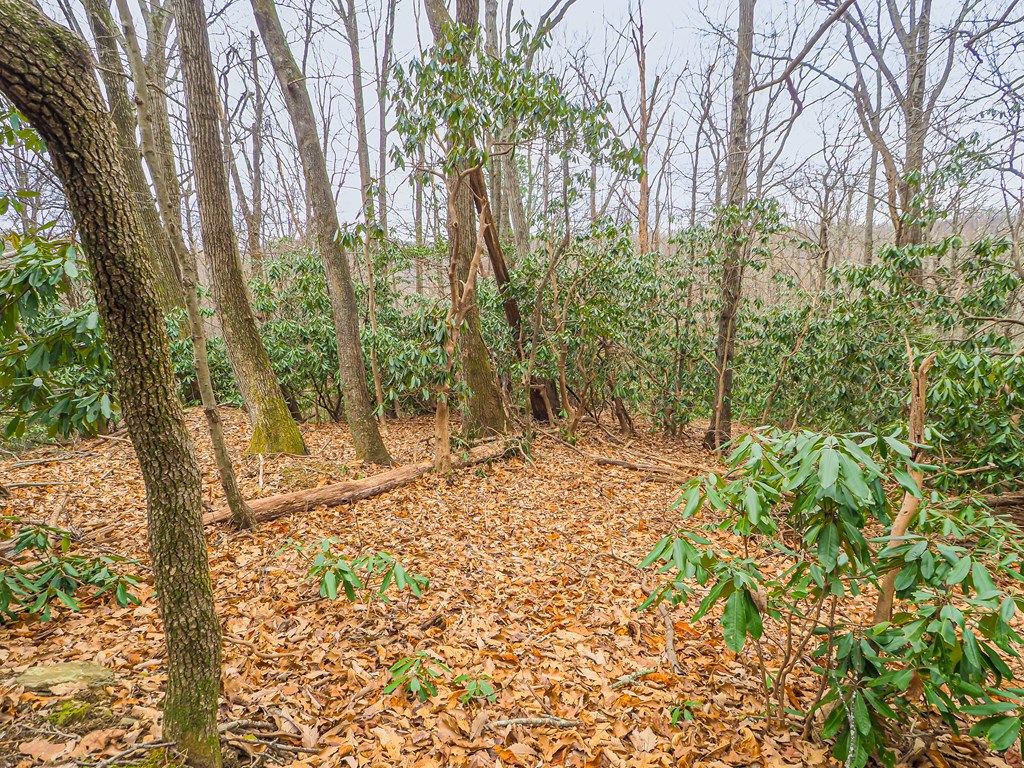 Photo of TBD Spring Lure Trl #F-13 2-B, Fancy Gap, VA 24328 (MLS # 104307)