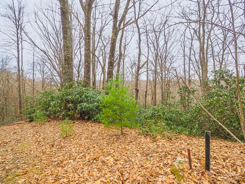 Photo of TBD Spring Lure Trl #F-13 2-B, Fancy Gap, VA 24328 (MLS # 104307)