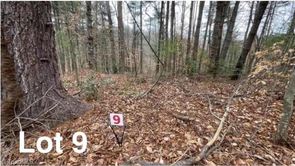 Photo of 9 Woods Haven Lane #9, Stuart, VA 24171 (MLS # 109065)