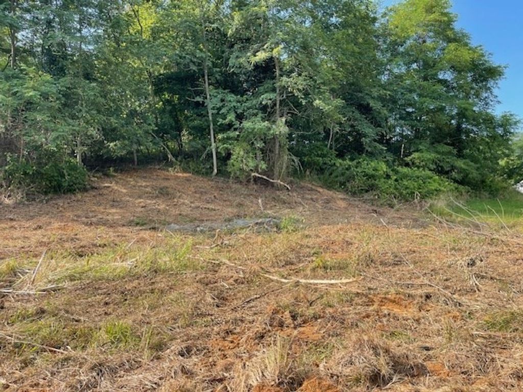 Photo of TBD Hidden Valley Rd #35-2-44, Independence, VA 24348 (MLS # 109342)
