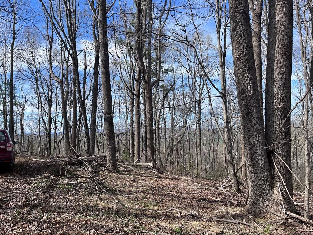 Photo of TBD Calvary Way #103-4-7, Laurel Fork, VA 24352 (MLS # 109554)
