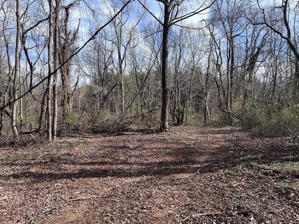 Photo of TBD Calvary Way #103-4-7, Laurel Fork, VA 24352 (MLS # 109554)