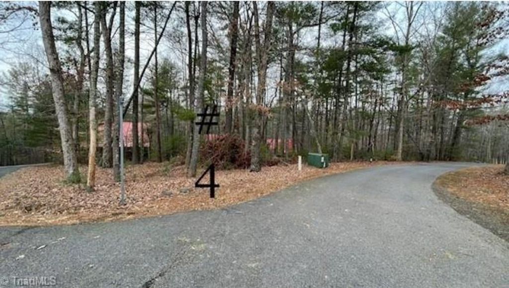 Photo of 4 Reserve Trail #4, Stuart, VA 24171 (MLS # 87208)