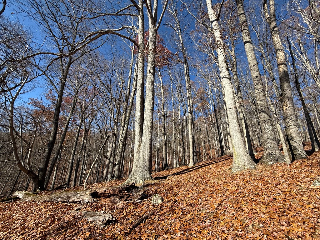TBD Nebo Mountain Rd.