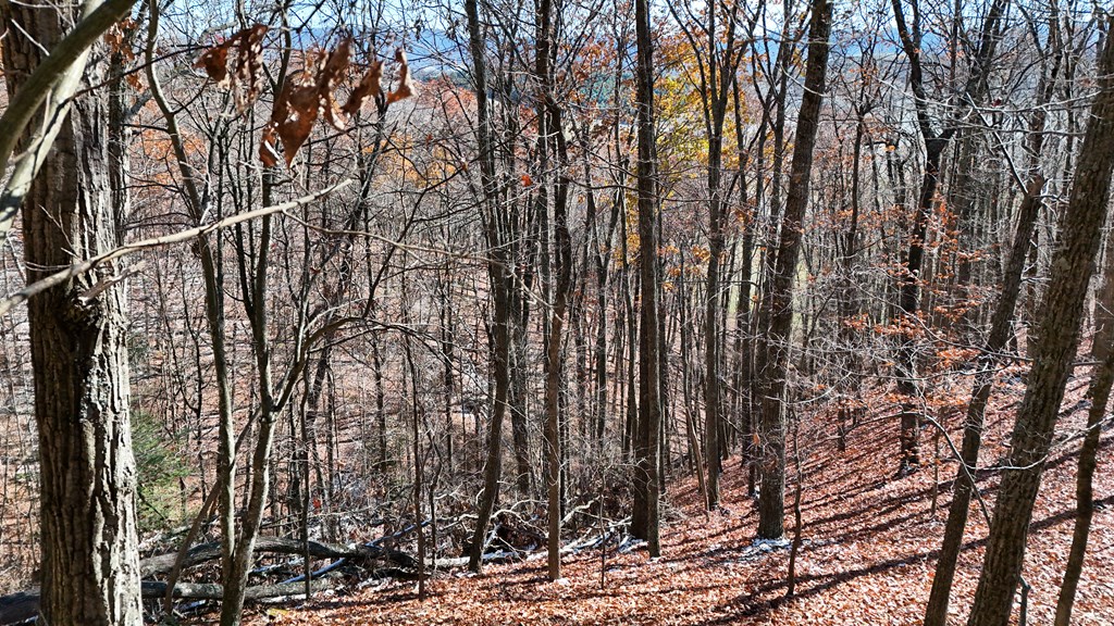 TBD Nebo Mountain Rd.