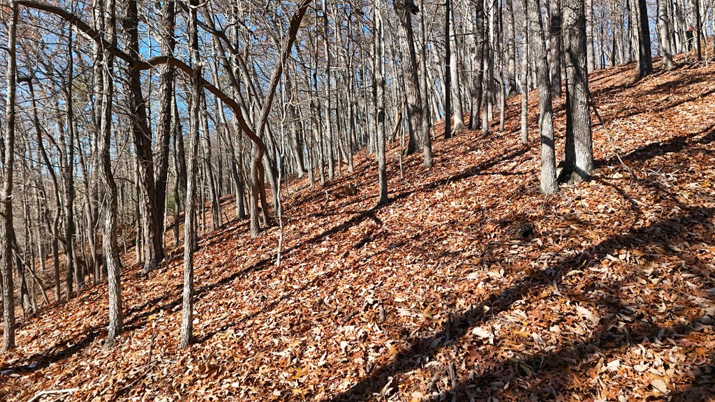 TBD Nebo Mountain Rd.