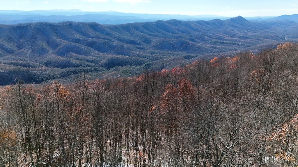 Photo of TBD Nebo Mountain Rd #multiple, Atkins, VA 24311 (MLS # 104103)